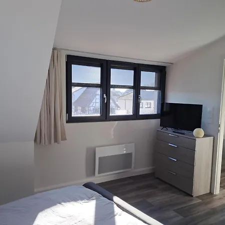 Апартаменты 3 Pieces Confort, Aux Portes De Colmar Andolsheim