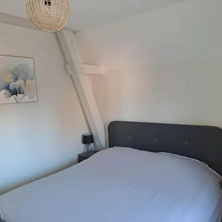 3 Pieces Confort, Aux Portes De Colmar Andolsheim