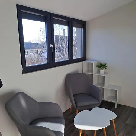 3 Pieces Confort, Aux Portes De Colmar Апартаменты Andolsheim